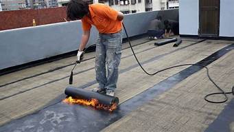 屋顶防水最好的处理方法_屋顶防水最好的处理方法水泥对胶